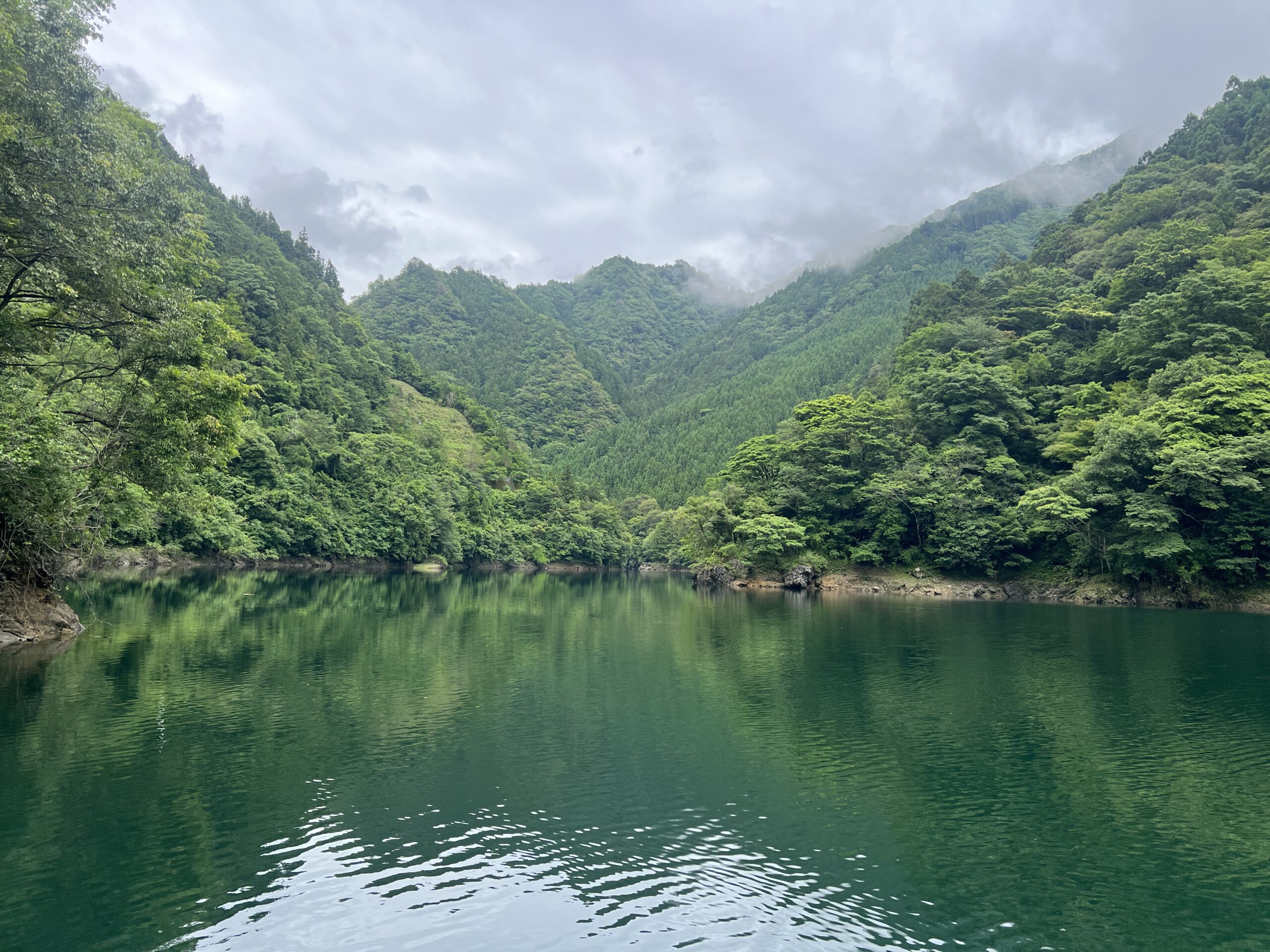 早明浦ダムバス釣り