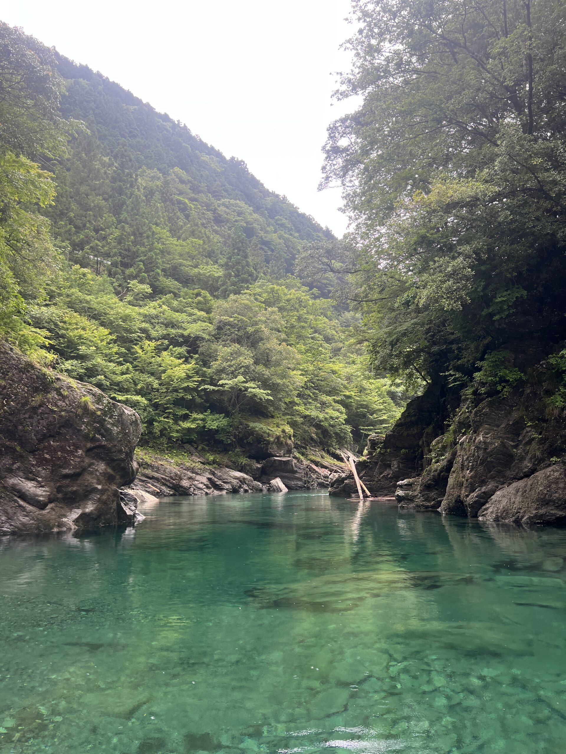 早明浦ダムバス釣り