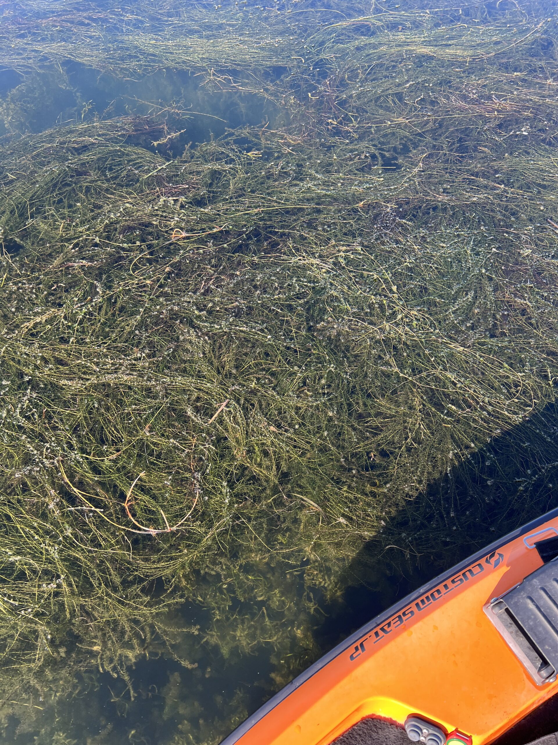 ウィードマット