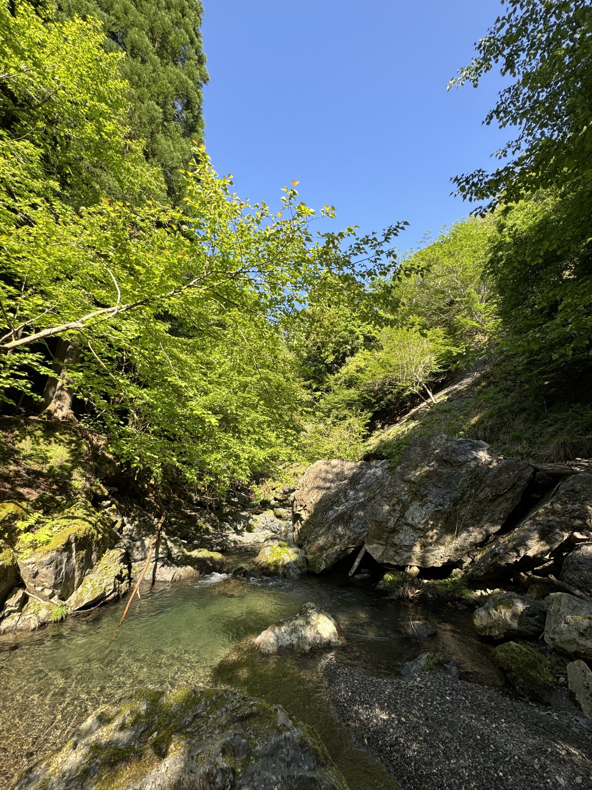 渓流ルアー釣り