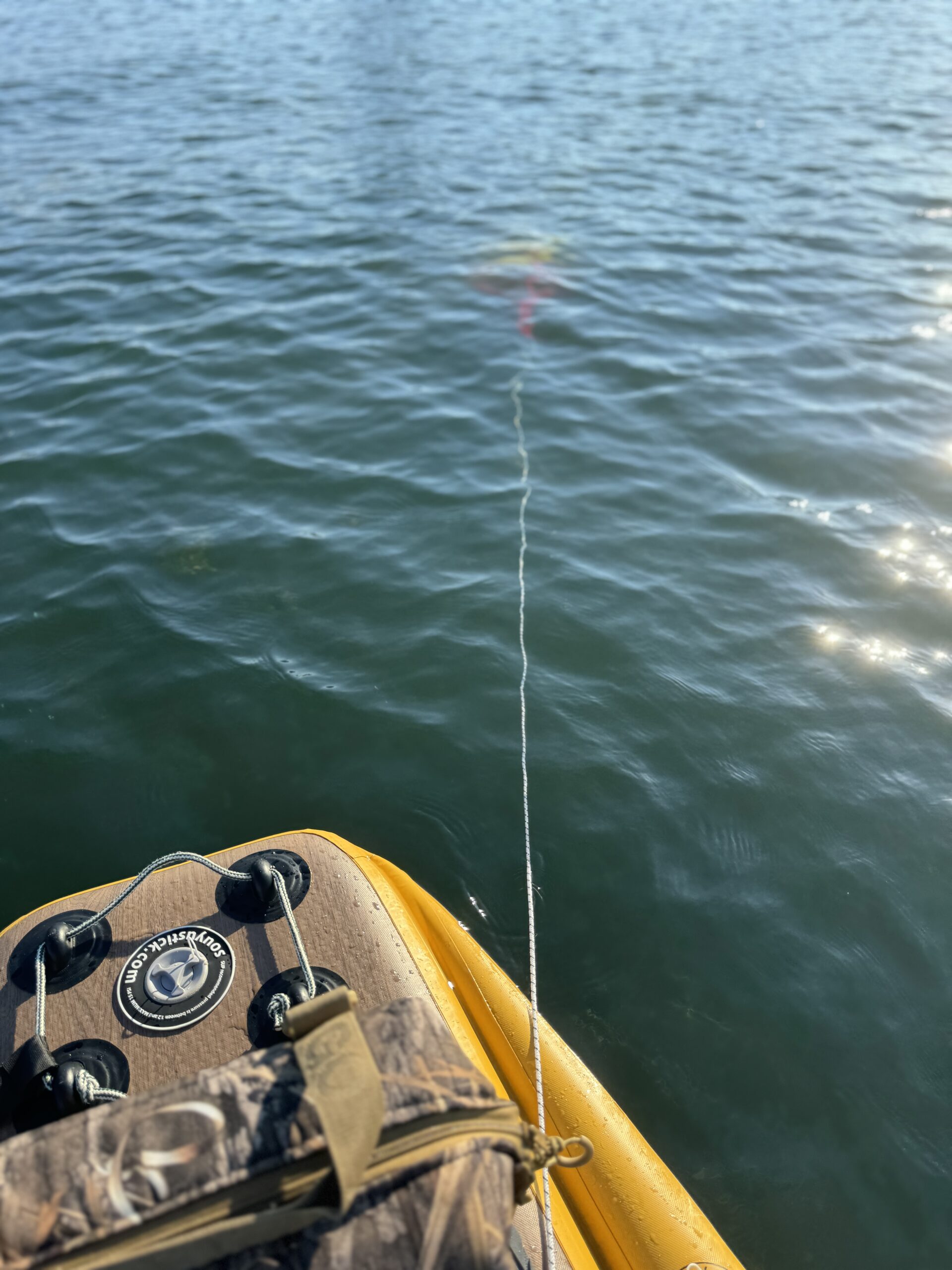 SUPフィッシング