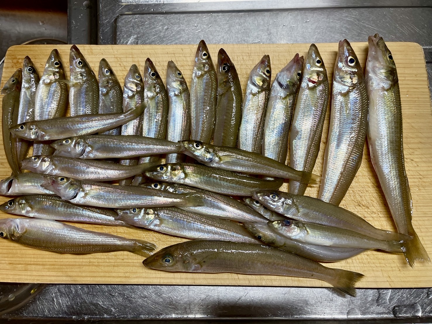 SUPフィッシング