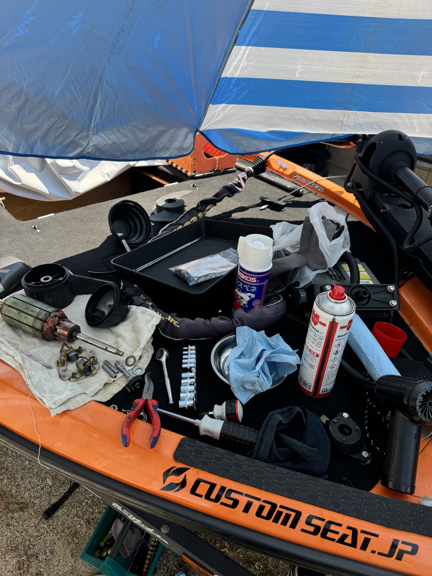 エレキ メンテナンス