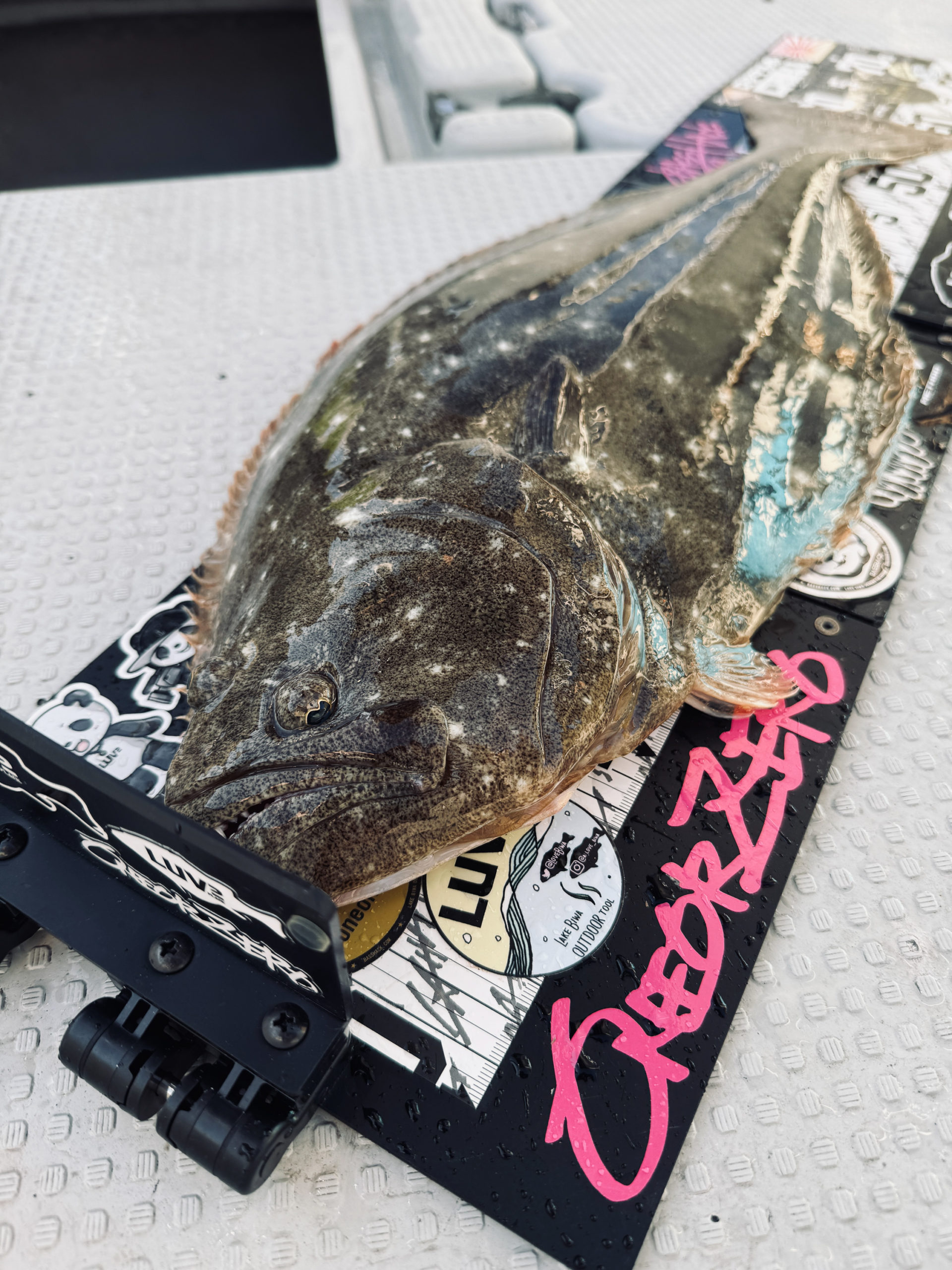 香川県ヒラメ釣り