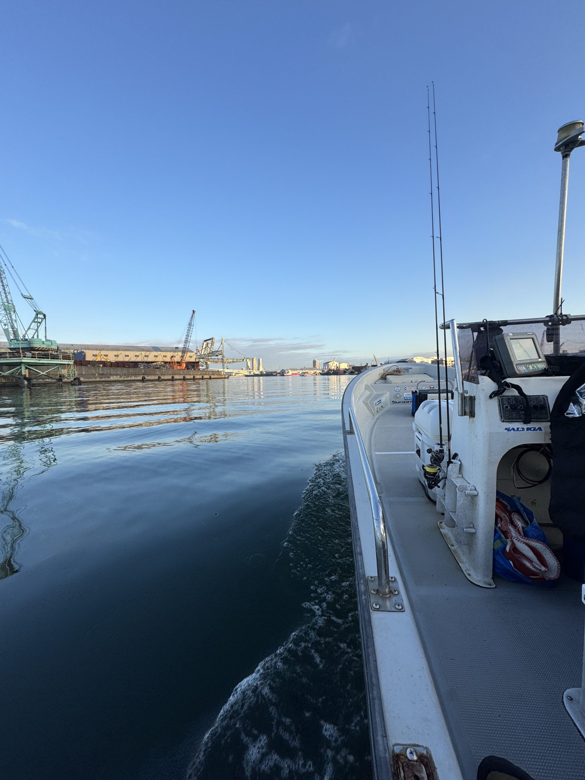 ボートシーバス