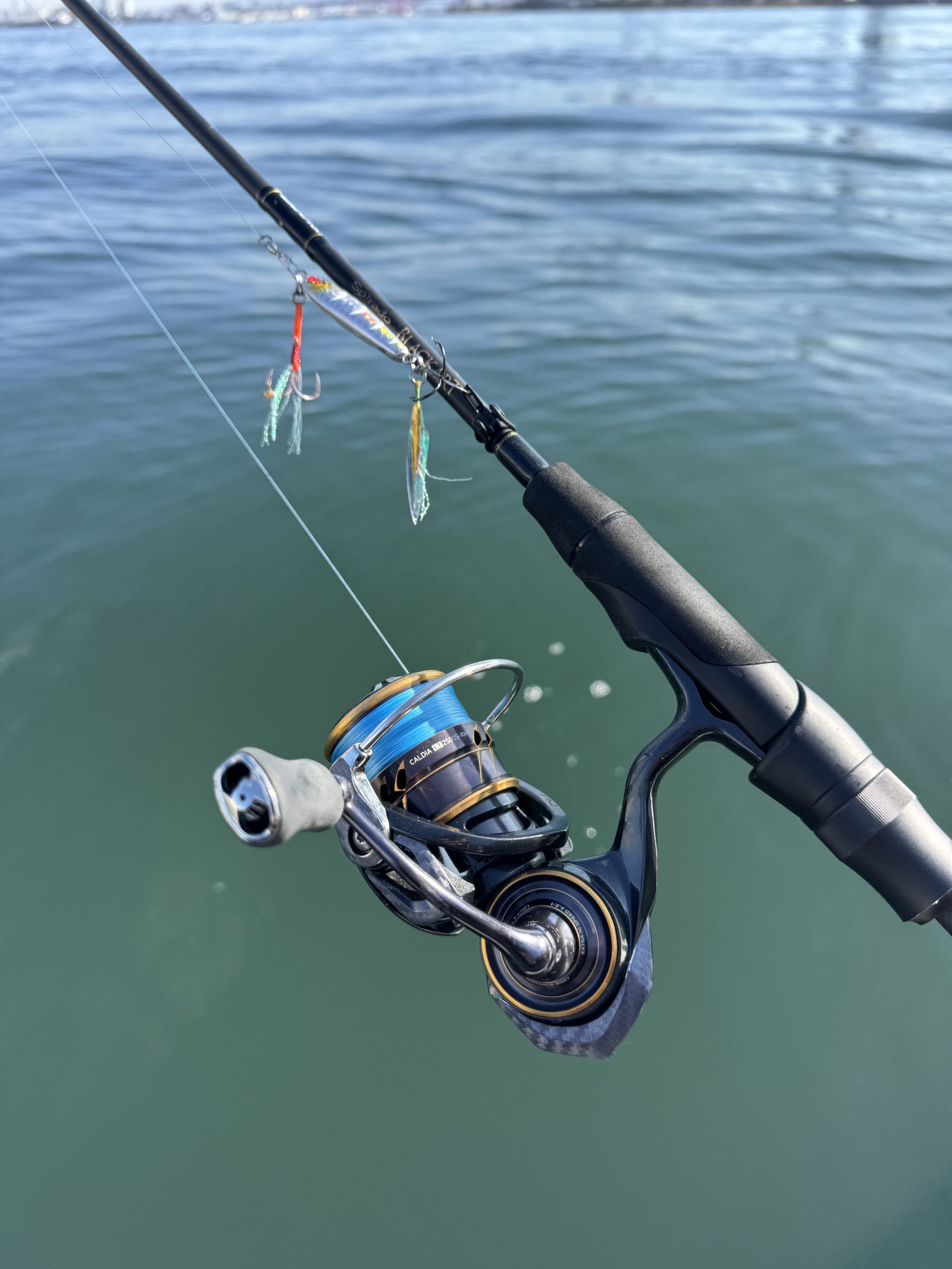 ボートシーバス