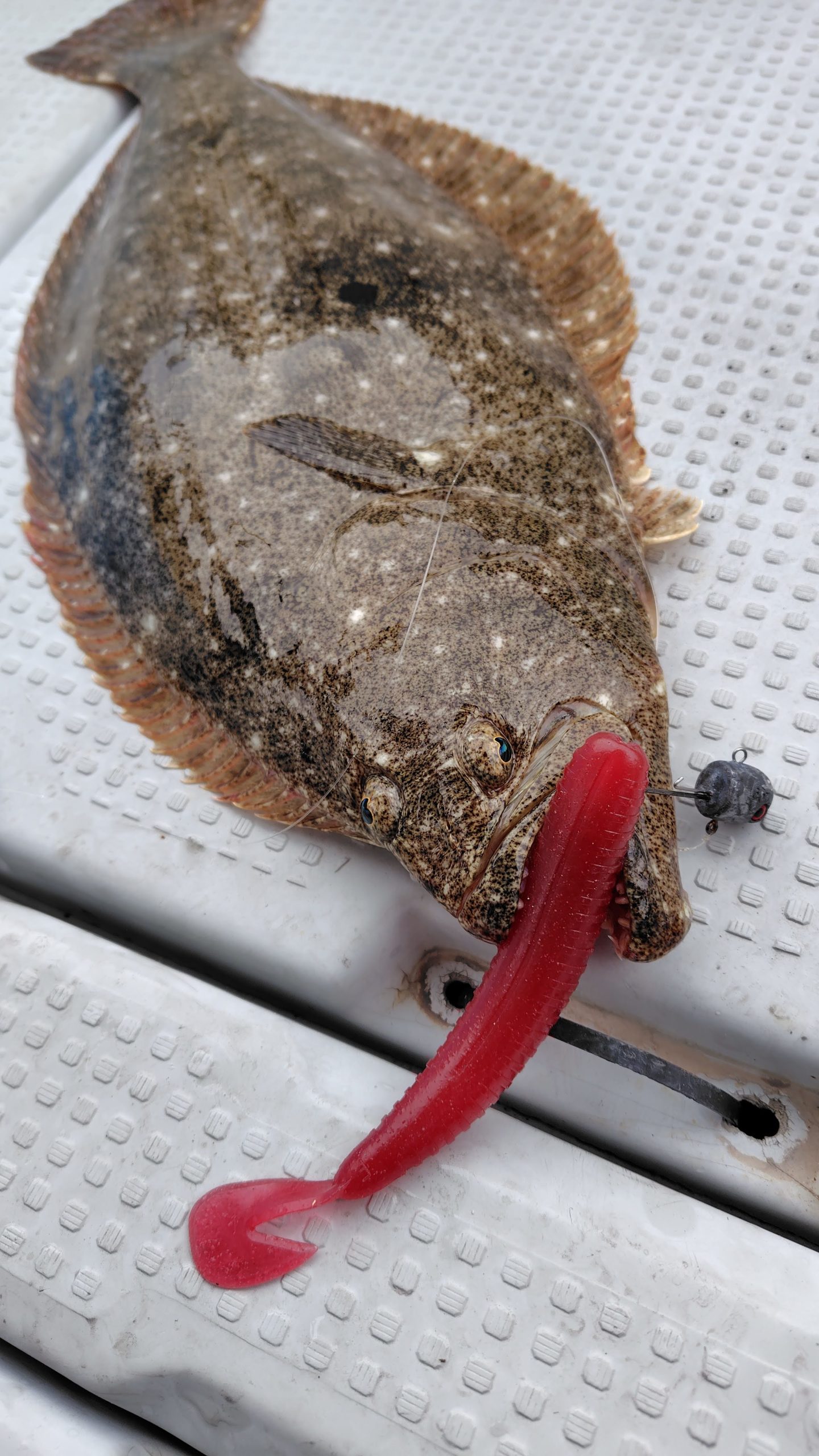 ヒラメ用ワーム