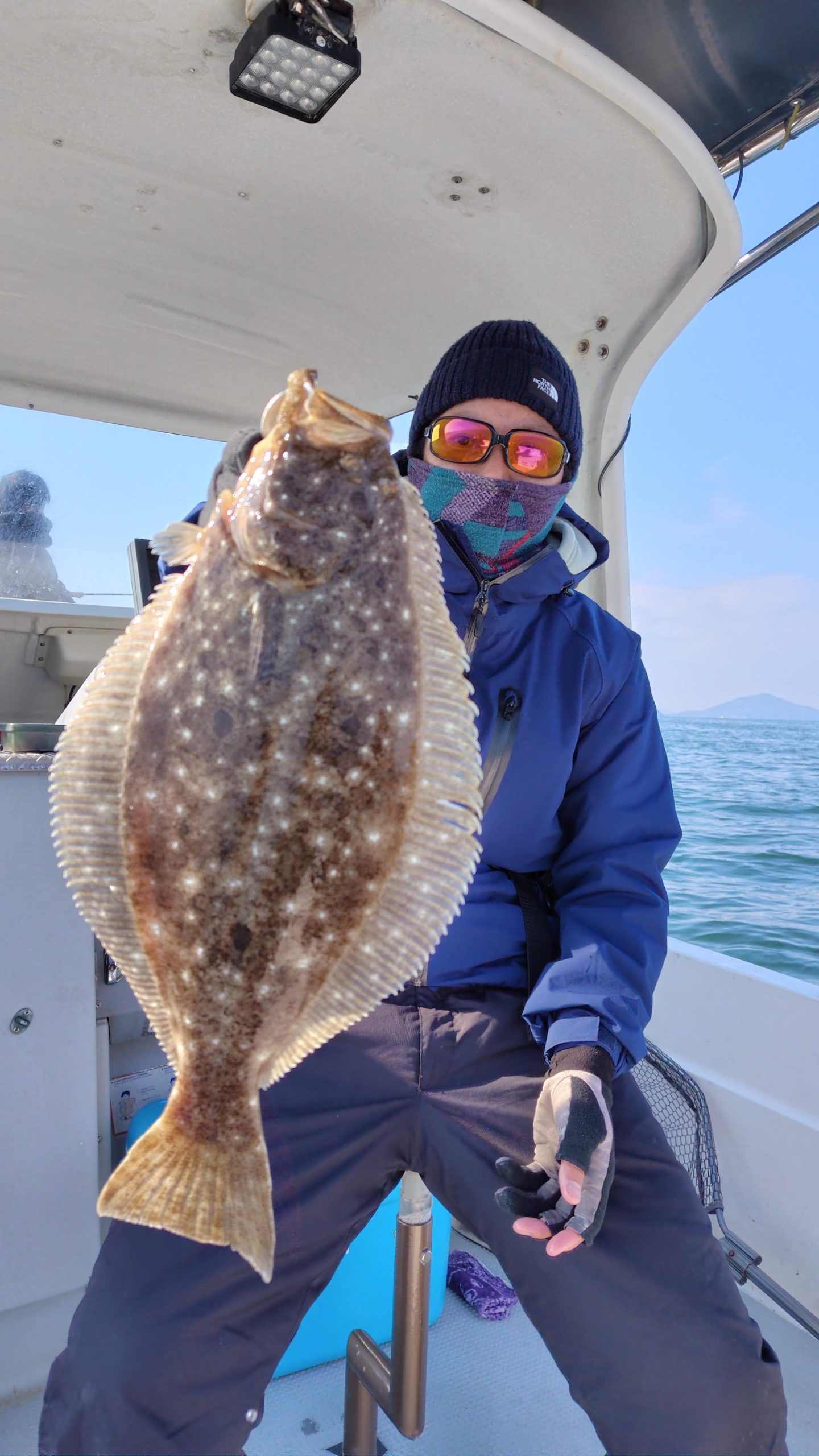 香川県ヒラメ釣果