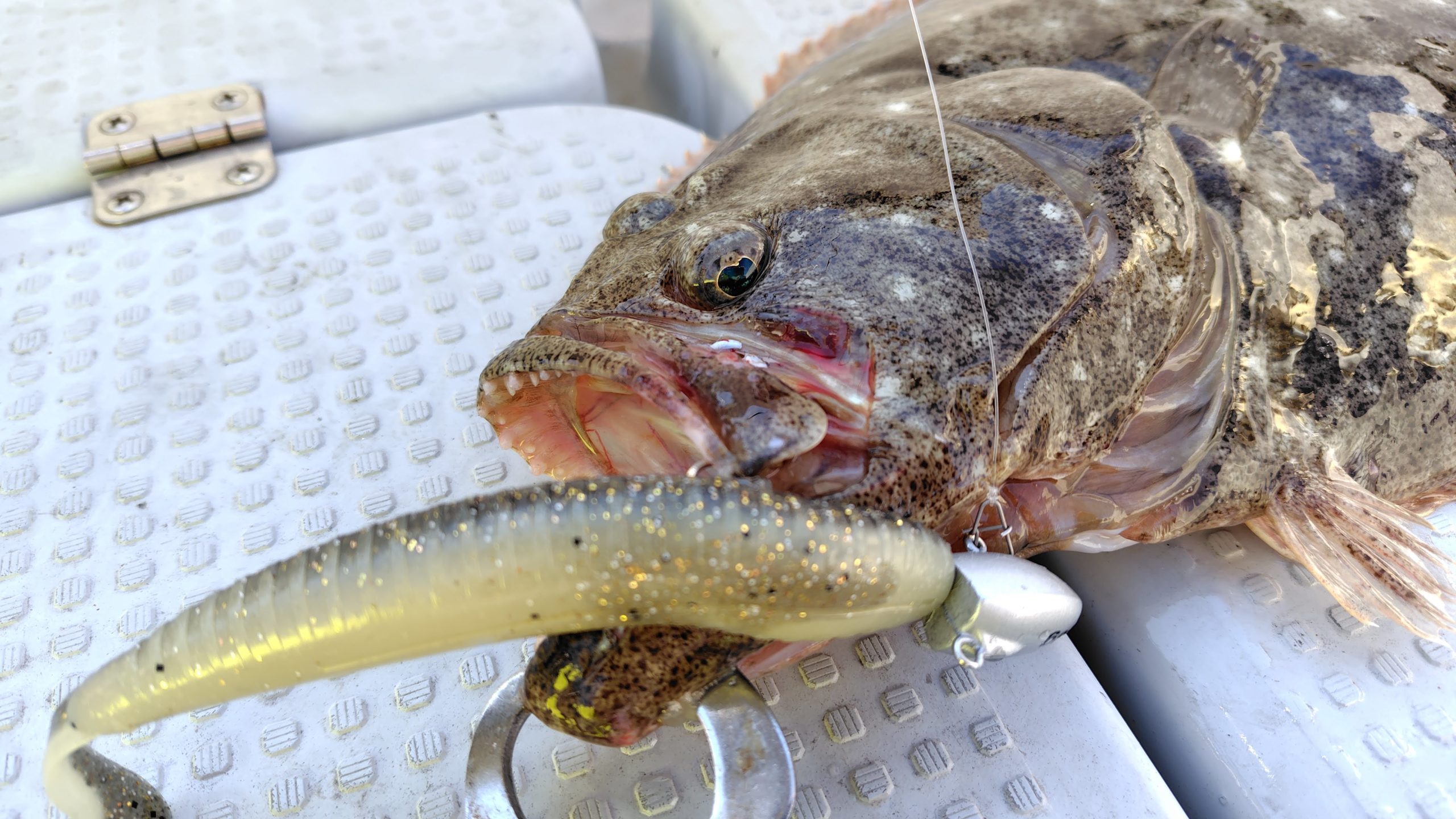 ヒラメにはエバーグリーンのクラップバザー