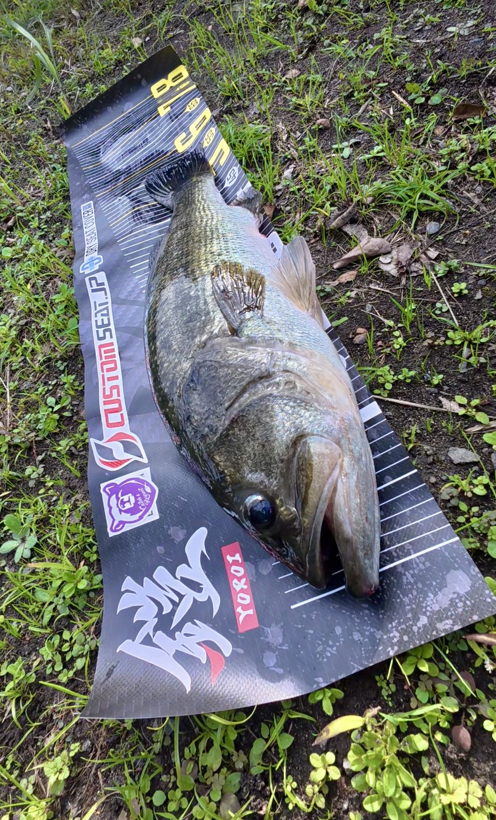 クランクベイト