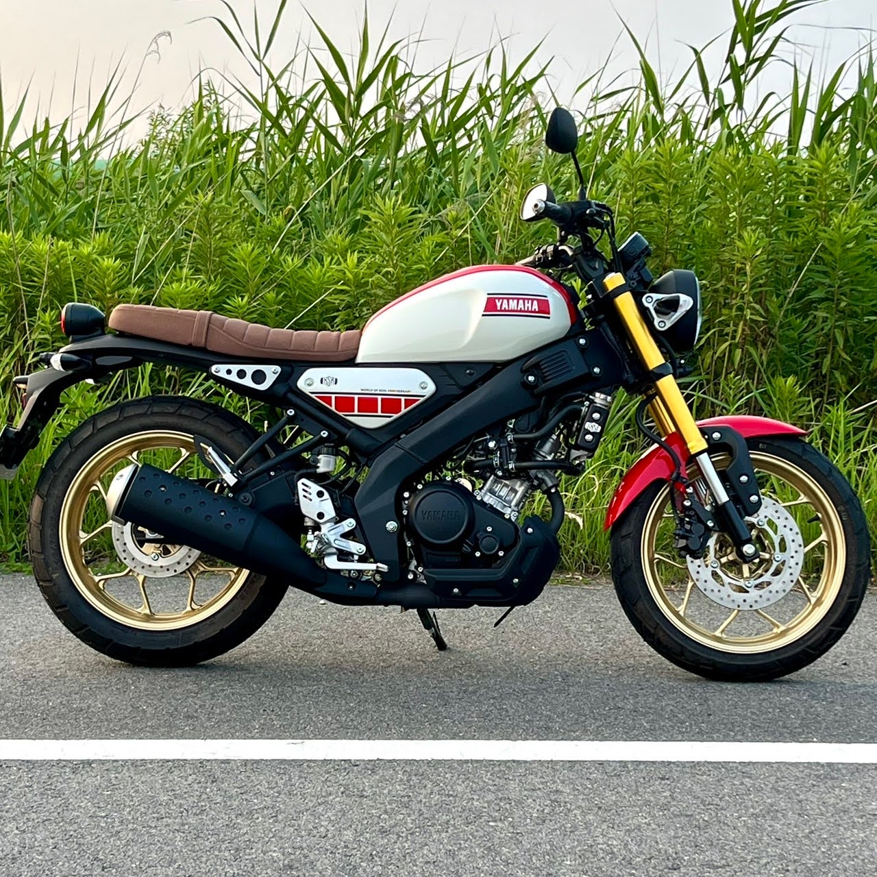 XSR155低反発スポンジ加工&アンコ抜き