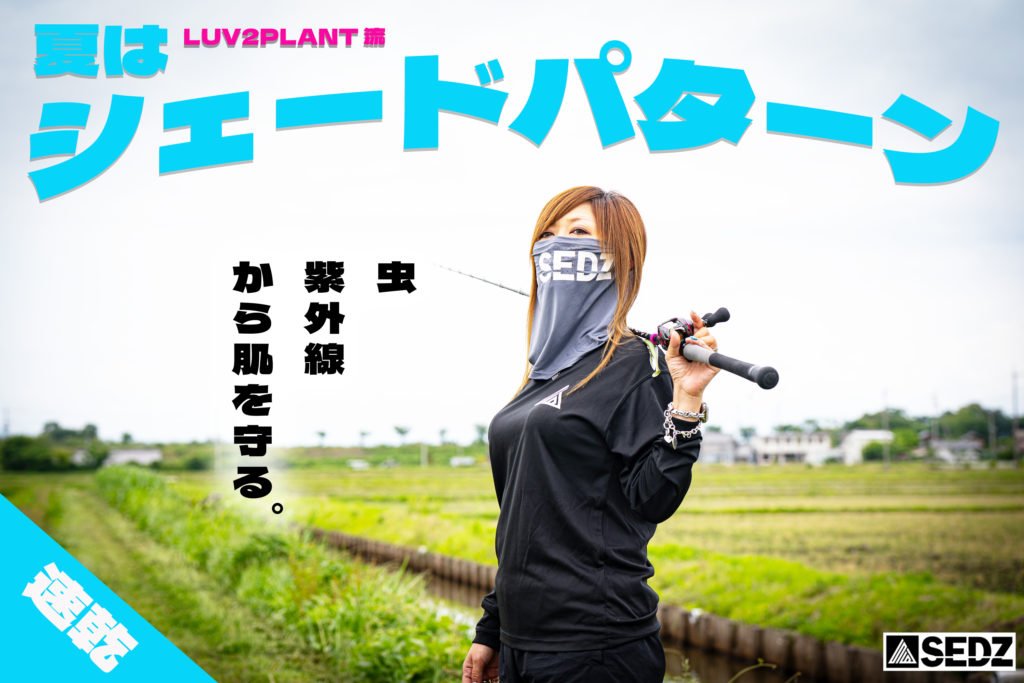 SEDZドライロンＴ