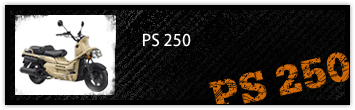 PS250